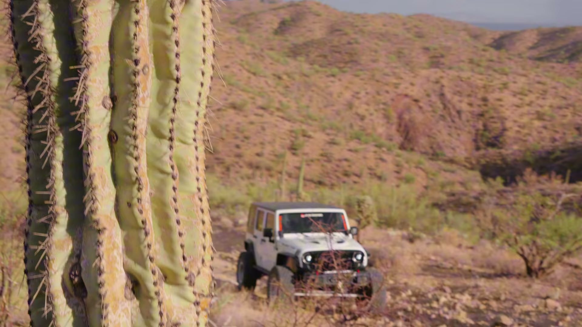 Wolfbox dashcam rear camera view showing the trail behind